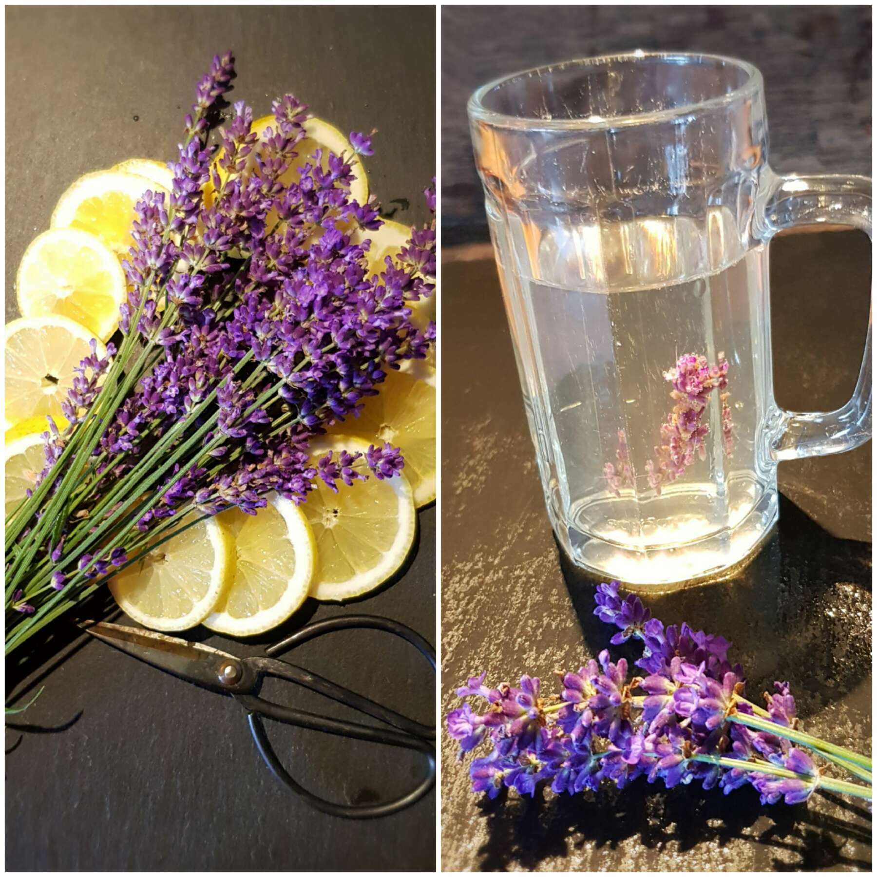 Rezepte | Lavendelsirup Rezepte | Lavendelsirup