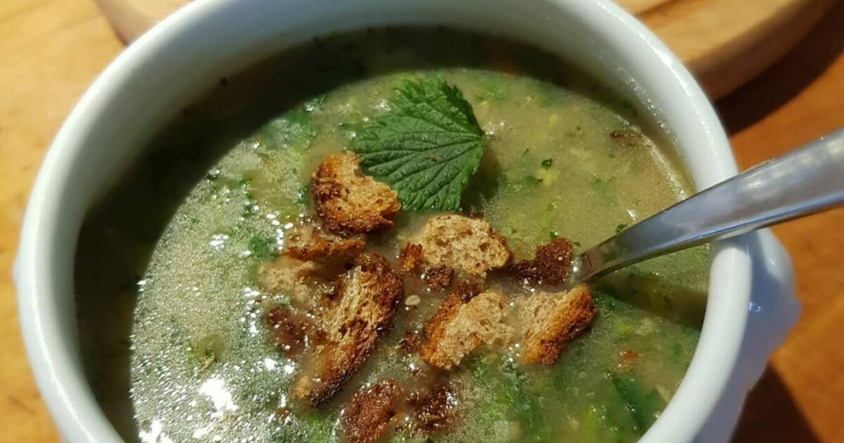 Rezepte | Brennnesselsuppe Rezepte | Brennnesselsuppe